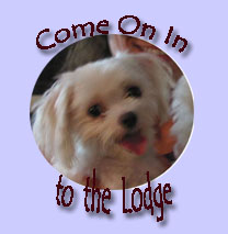 We're going to the Lodge !